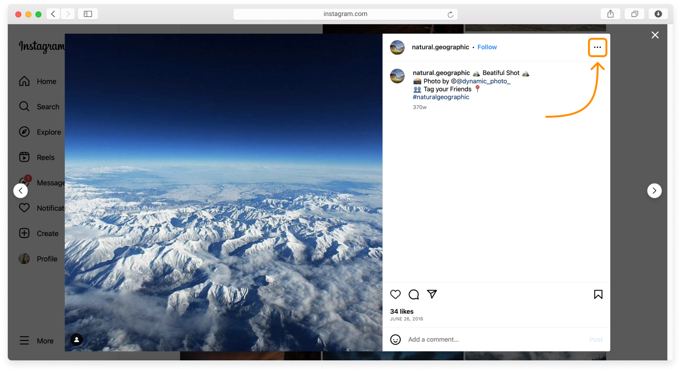 WL - Embedding Instagram posts and feeds - 2.png