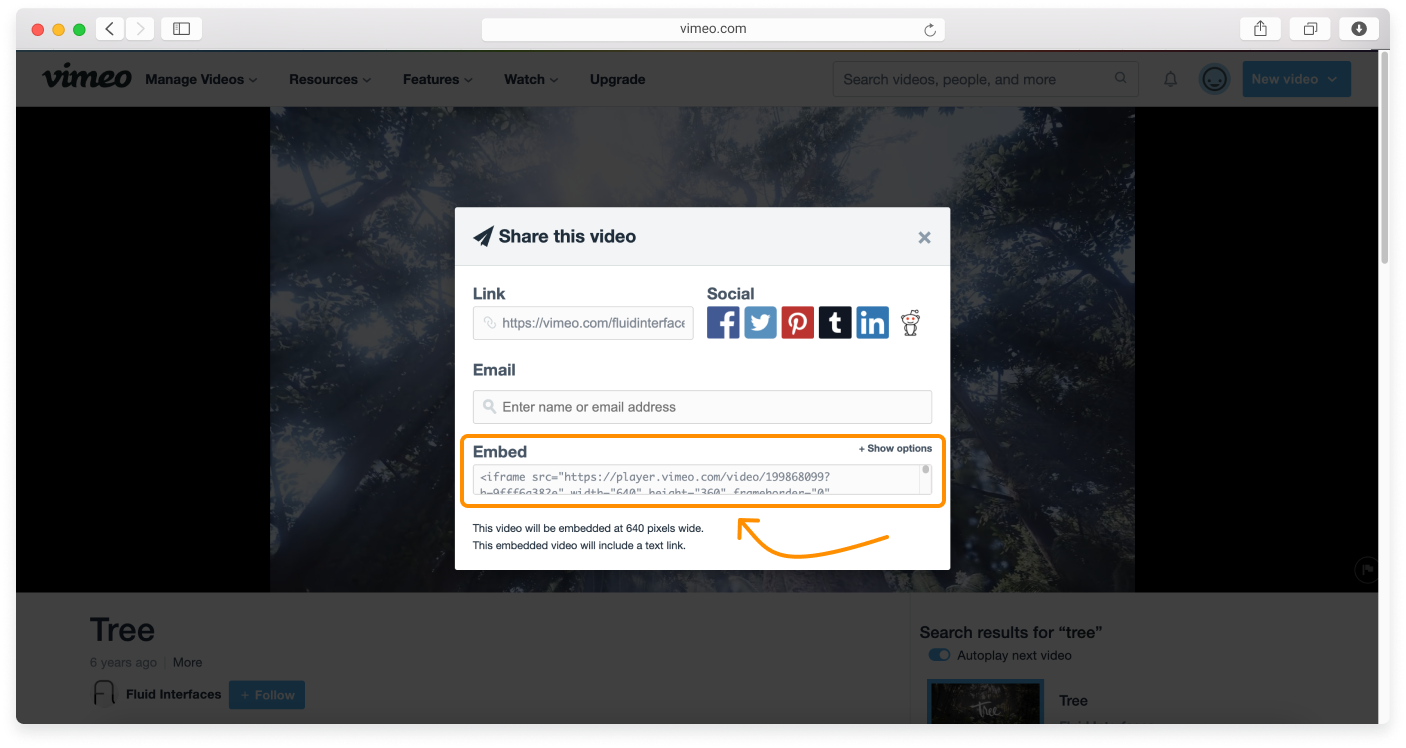 no-logo-Embedding-a-video-10.png