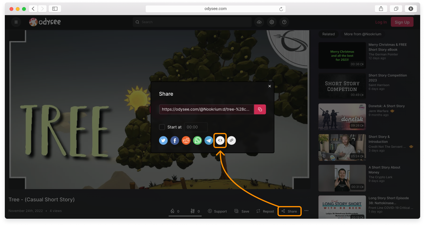 no-logo-Embedding-a-video-12.png