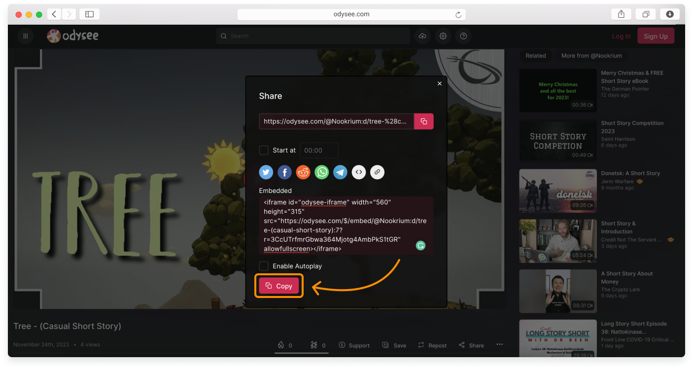 no-logo-Embedding-a-video-13.png