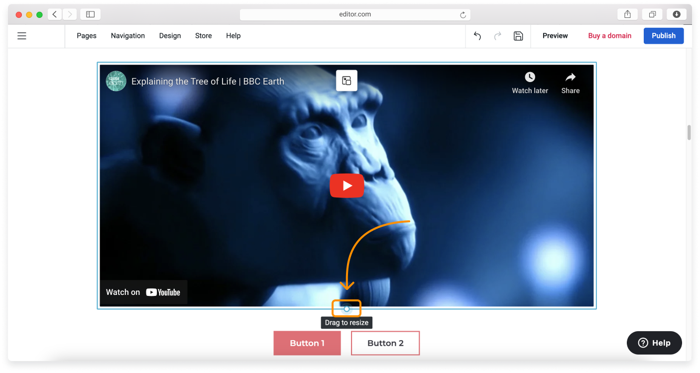 no-logo-Embedding-a-video-4.png