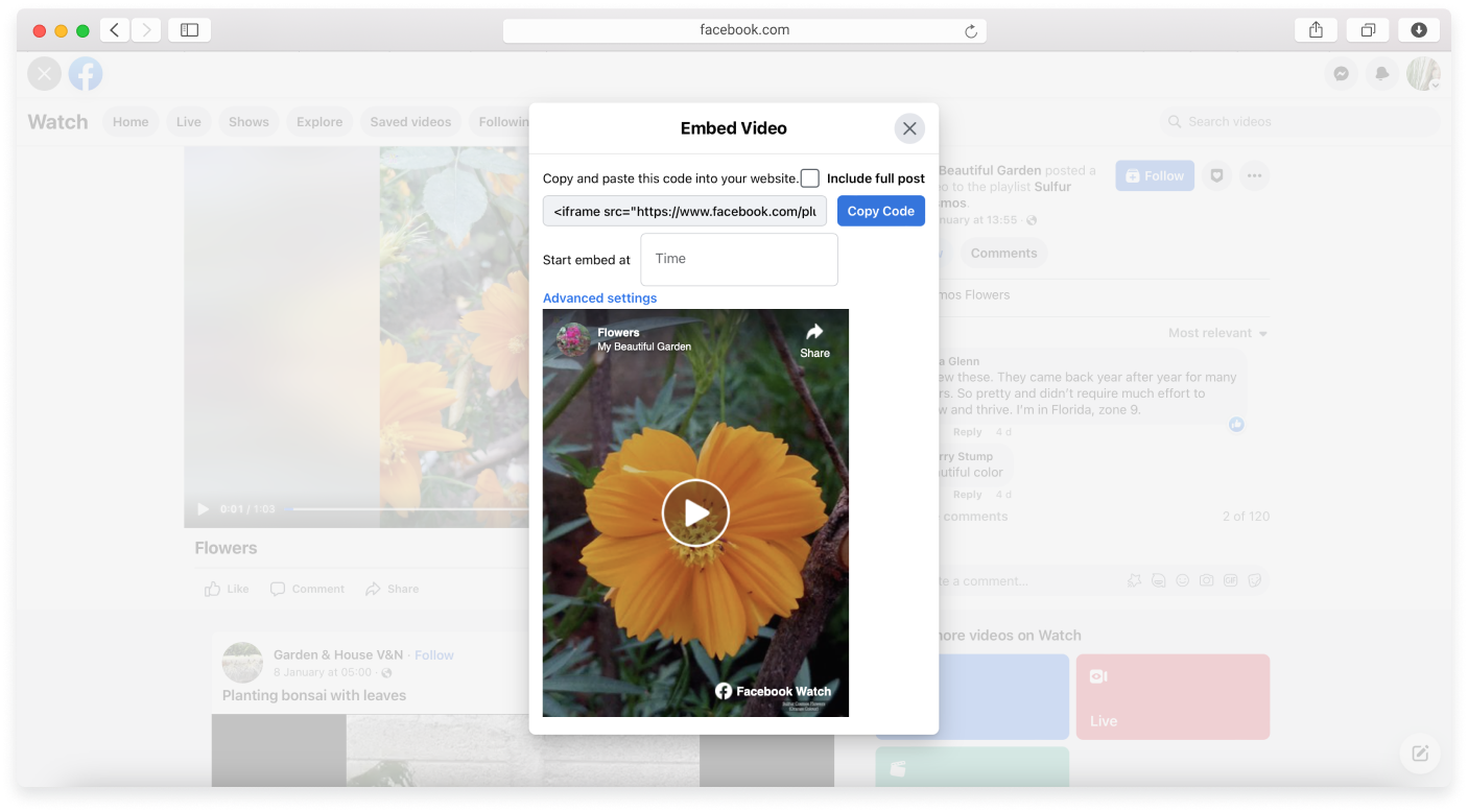 no-logo-Embedding-a-video-7.png