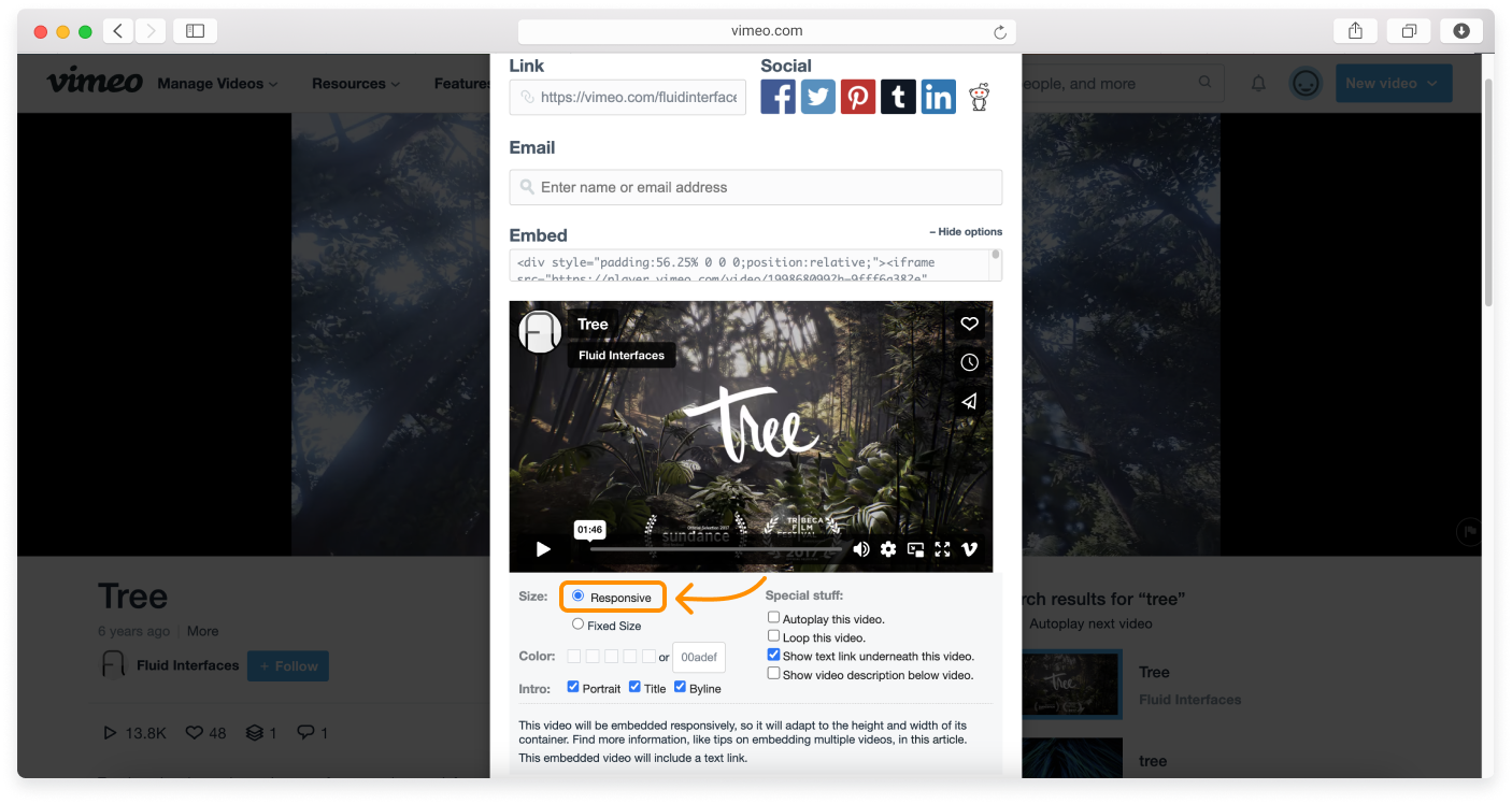 no-logo-Embedding-a-video-11.png