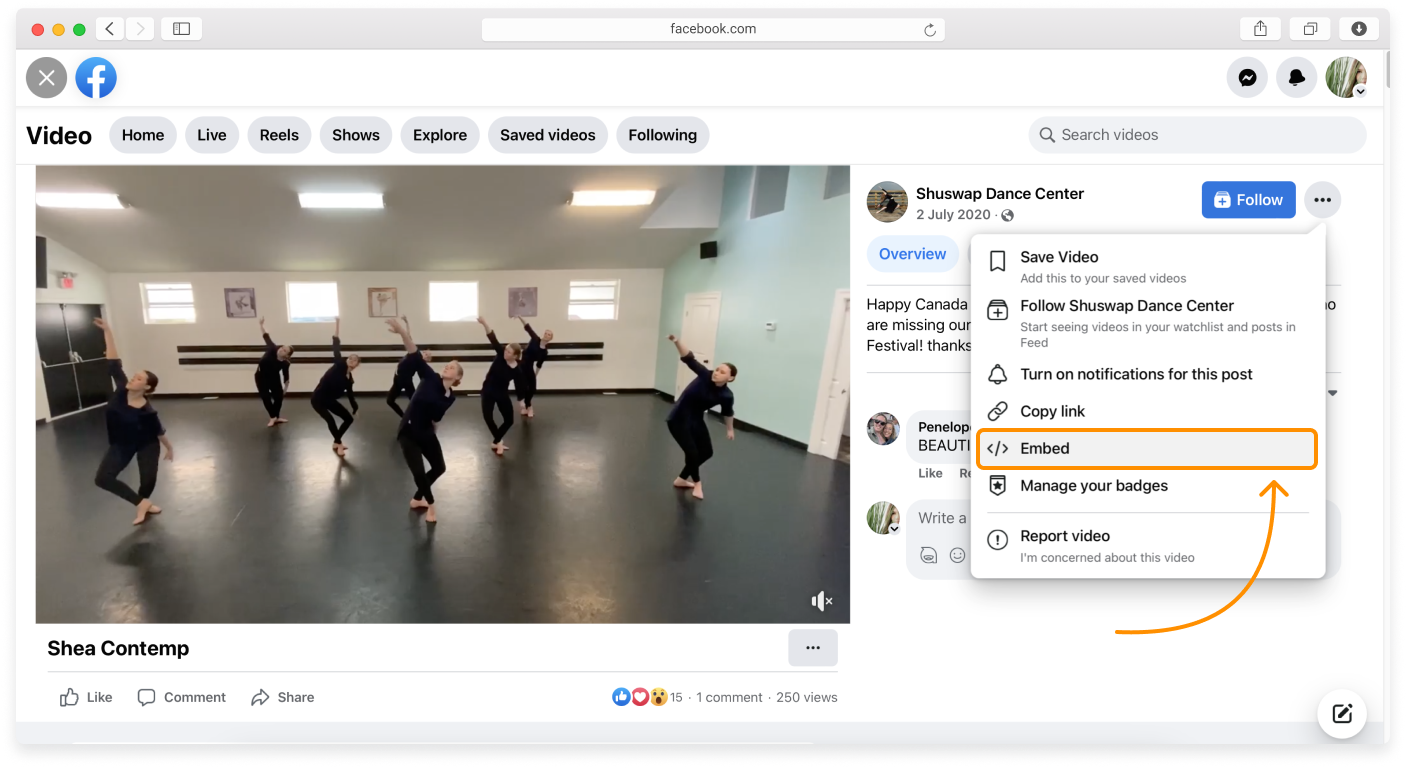 WL - Embedding a Facebook post - 1.png