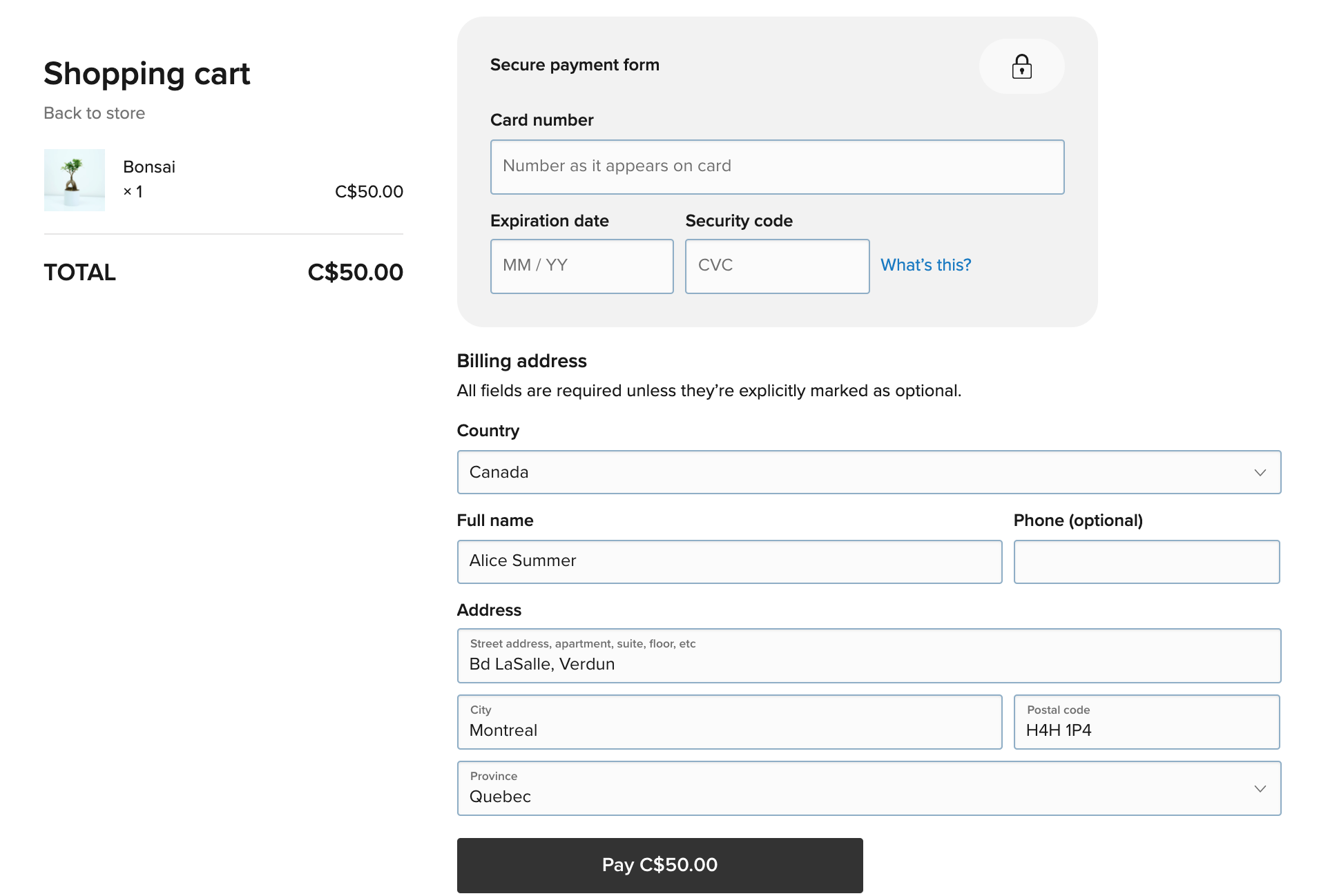 Lightspeed_Payments.png