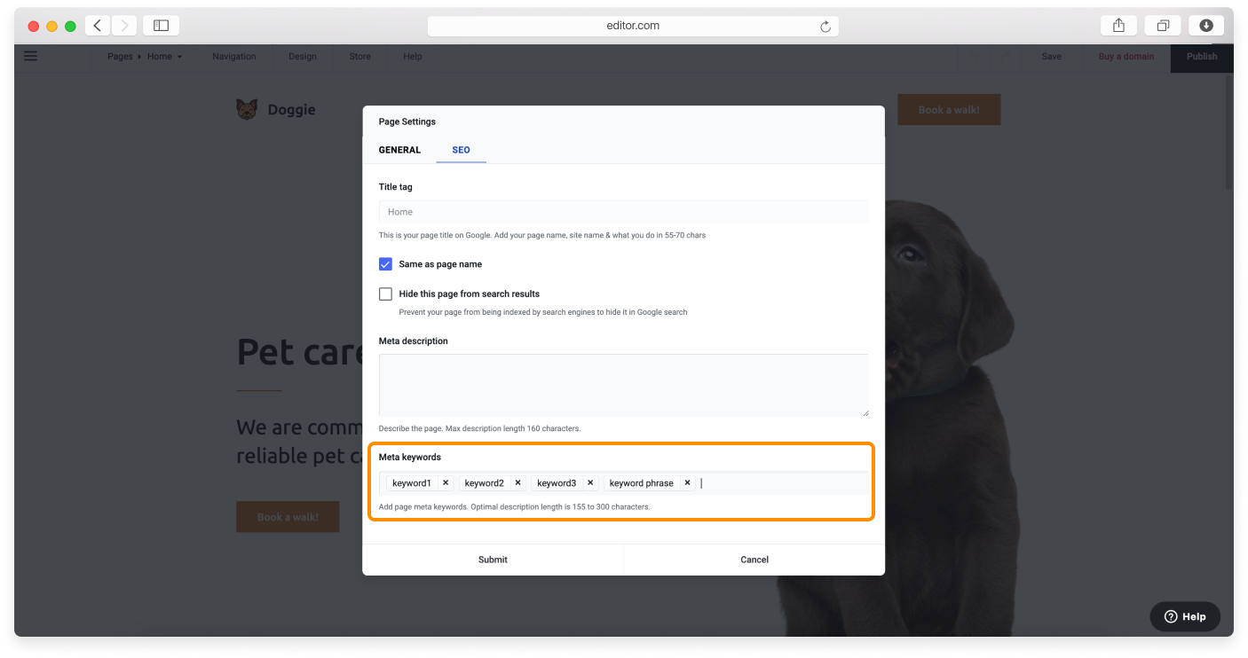 no-logo-Page-Seo-7.png