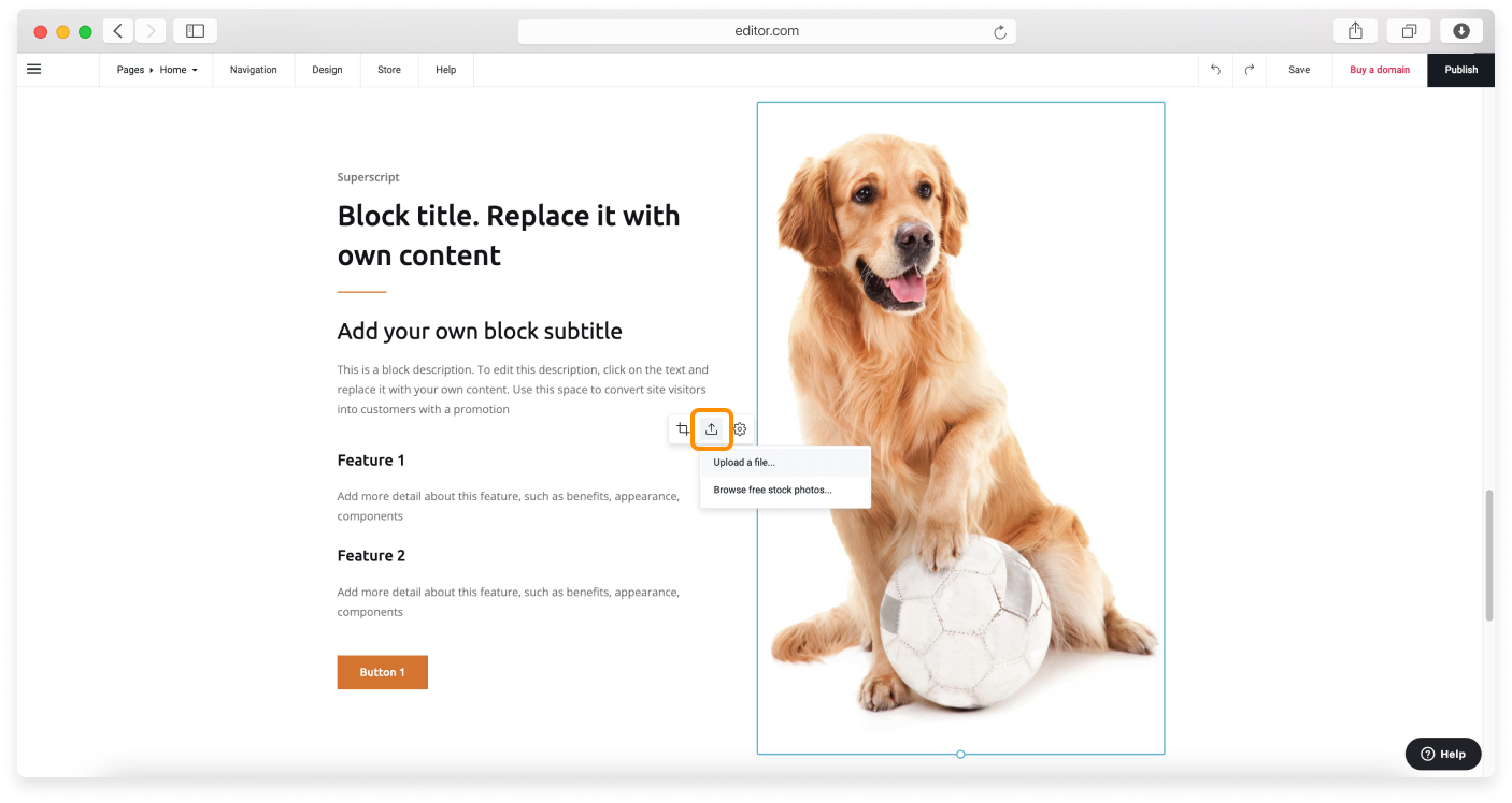 no-logo-adding-images-2.png