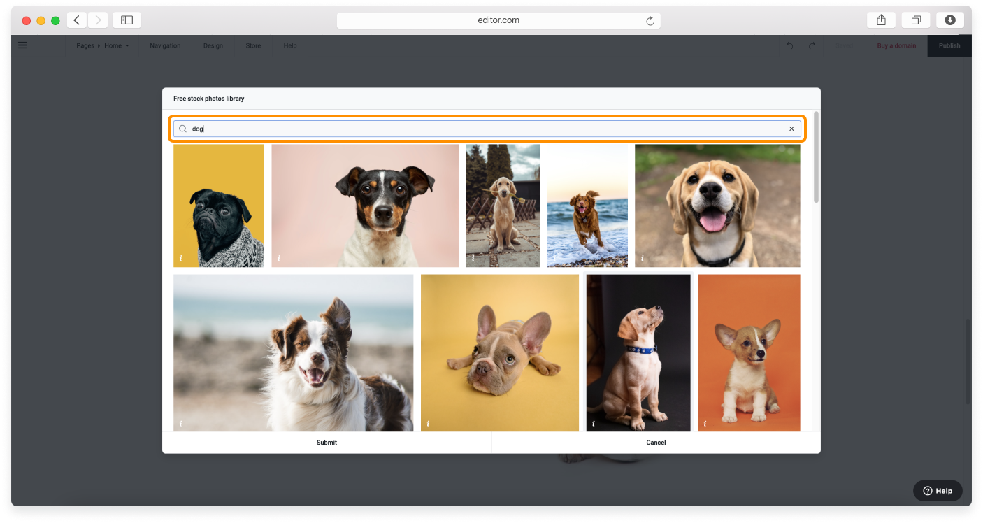no-logo-adding-images-5.png
