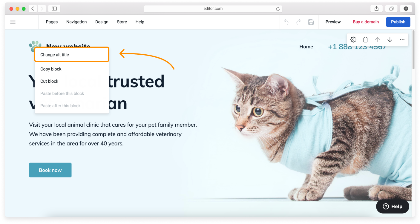 no-logo-Adding-the-alt-text-to-the-website-logo-1.png